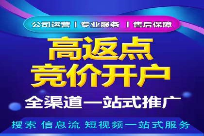 互联网公司SEM代运营成功案例剖析
